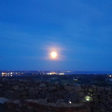 Fairy Cove At Rosemount Glamping Hotel Карлингфорд Екстериор снимка