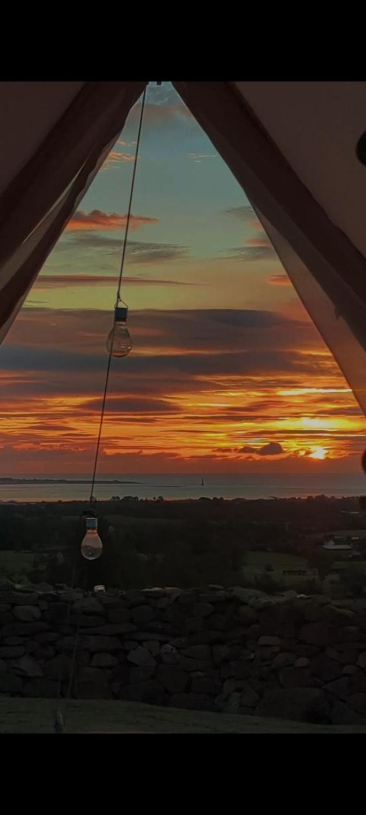 Fairy Cove At Rosemount Glamping Hotel Карлингфорд Стая снимка