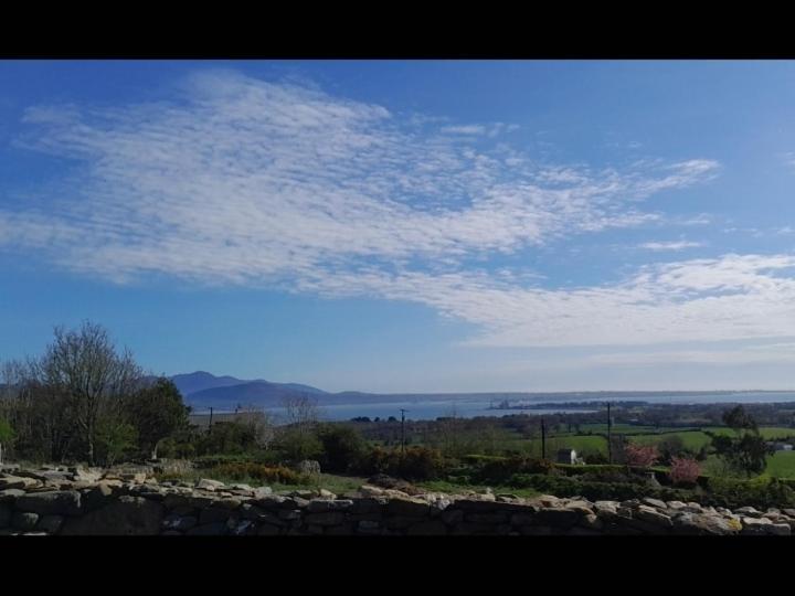 Fairy Cove At Rosemount Glamping Hotel Карлингфорд Екстериор снимка
