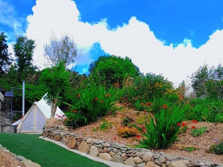 Fairy Cove At Rosemount Glamping Hotel Карлингфорд Екстериор снимка
