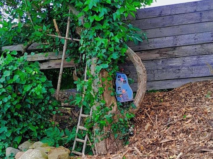 Fairy Cove At Rosemount Glamping Hotel Карлингфорд Екстериор снимка