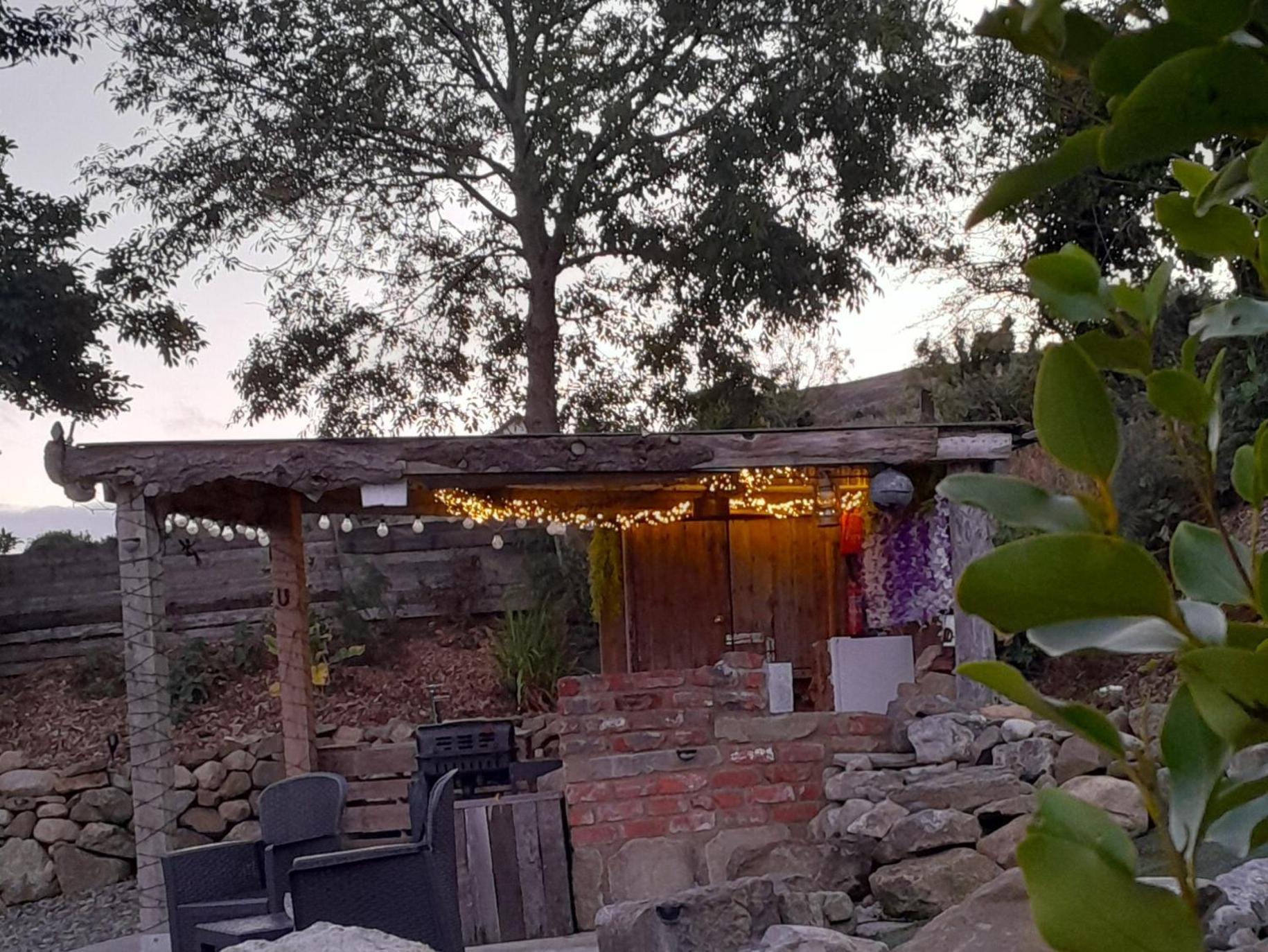 Fairy Cove At Rosemount Glamping Hotel Карлингфорд Екстериор снимка